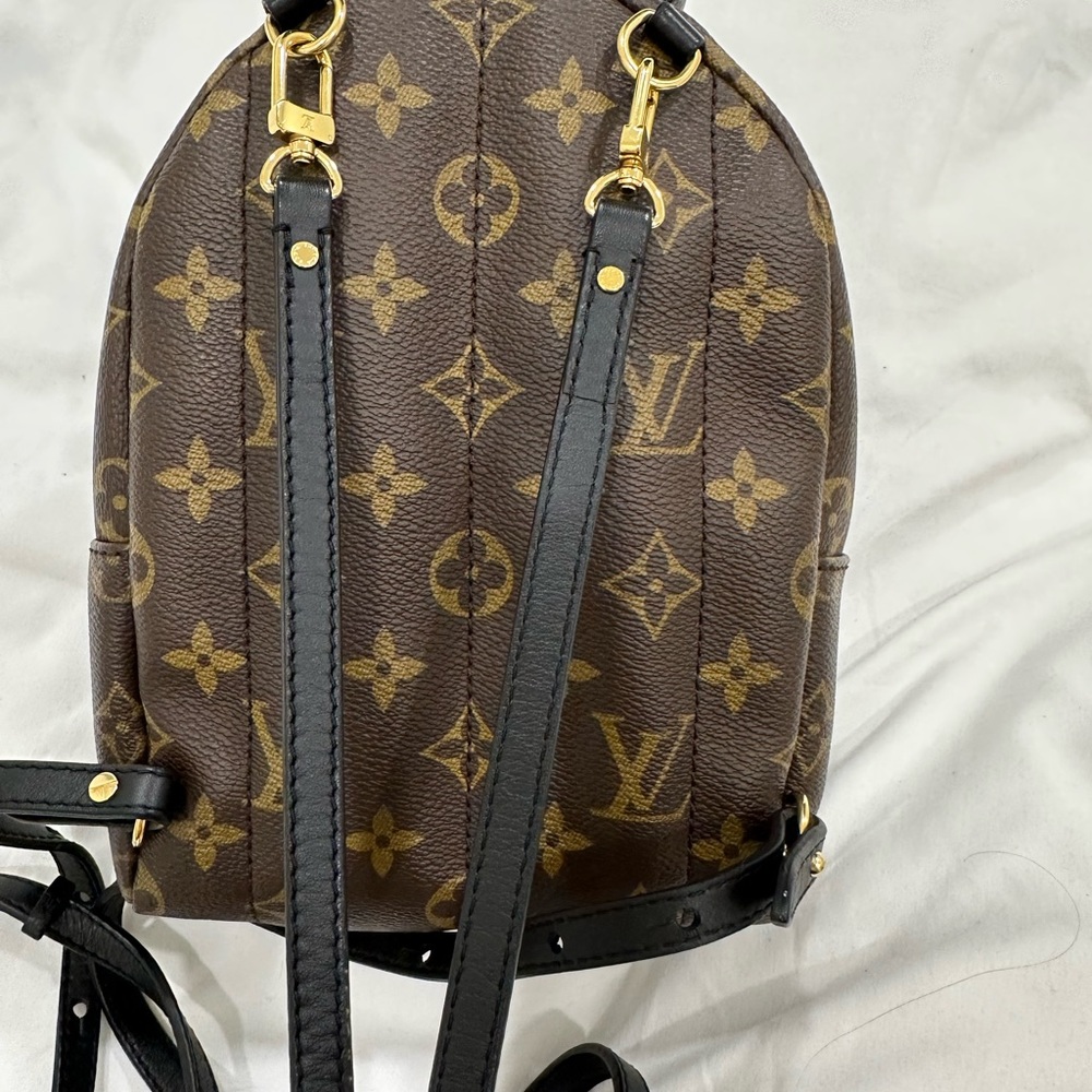 Palm Springs Mini - image 6